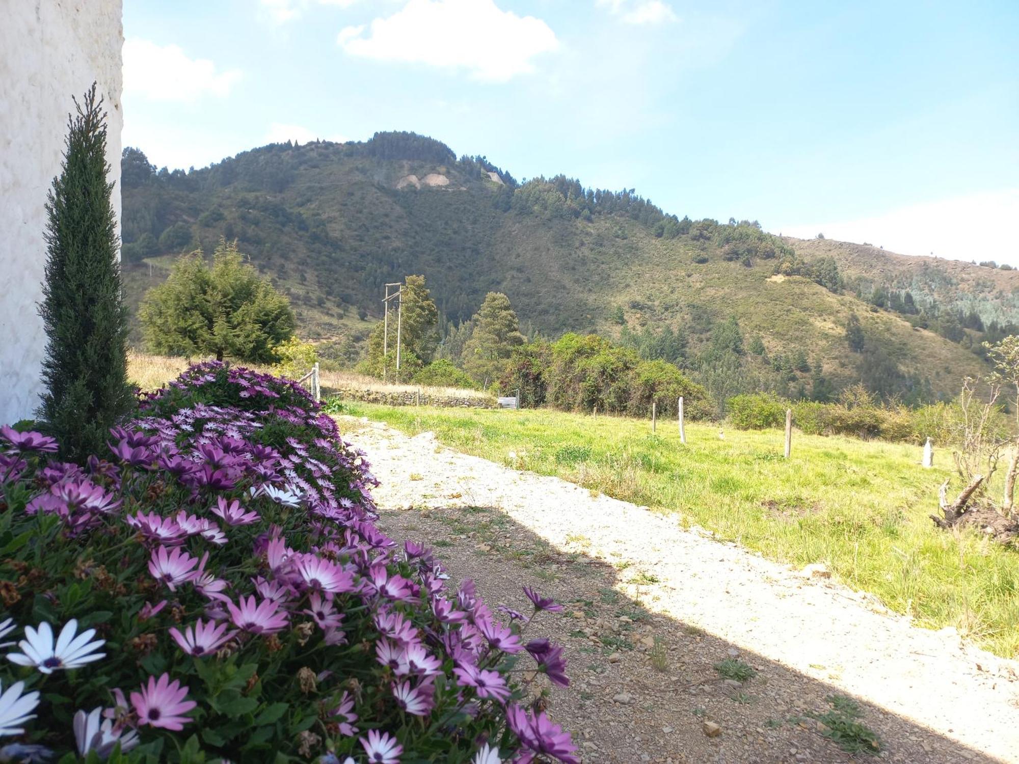 Hospedaje Y Camping Del Rio Monguí Exterior foto
